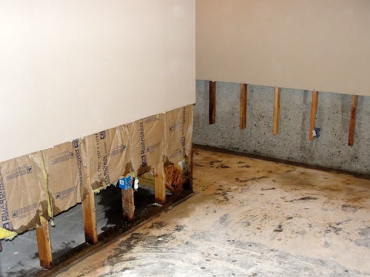 Mold Removal Kitchen