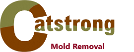 img/logo-mold-removal.png