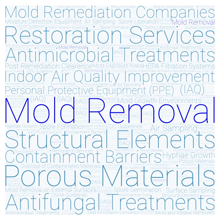 Mold Removal Wall