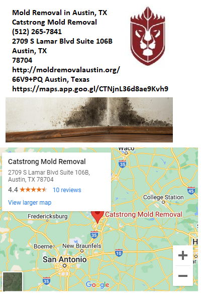 Water And Mold